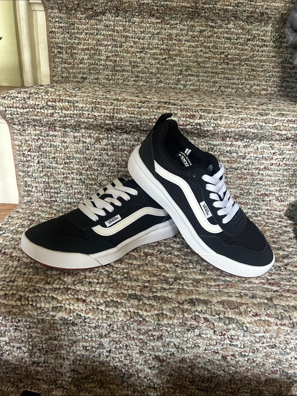 Vans Black and White Low-Top Skate Sneakers